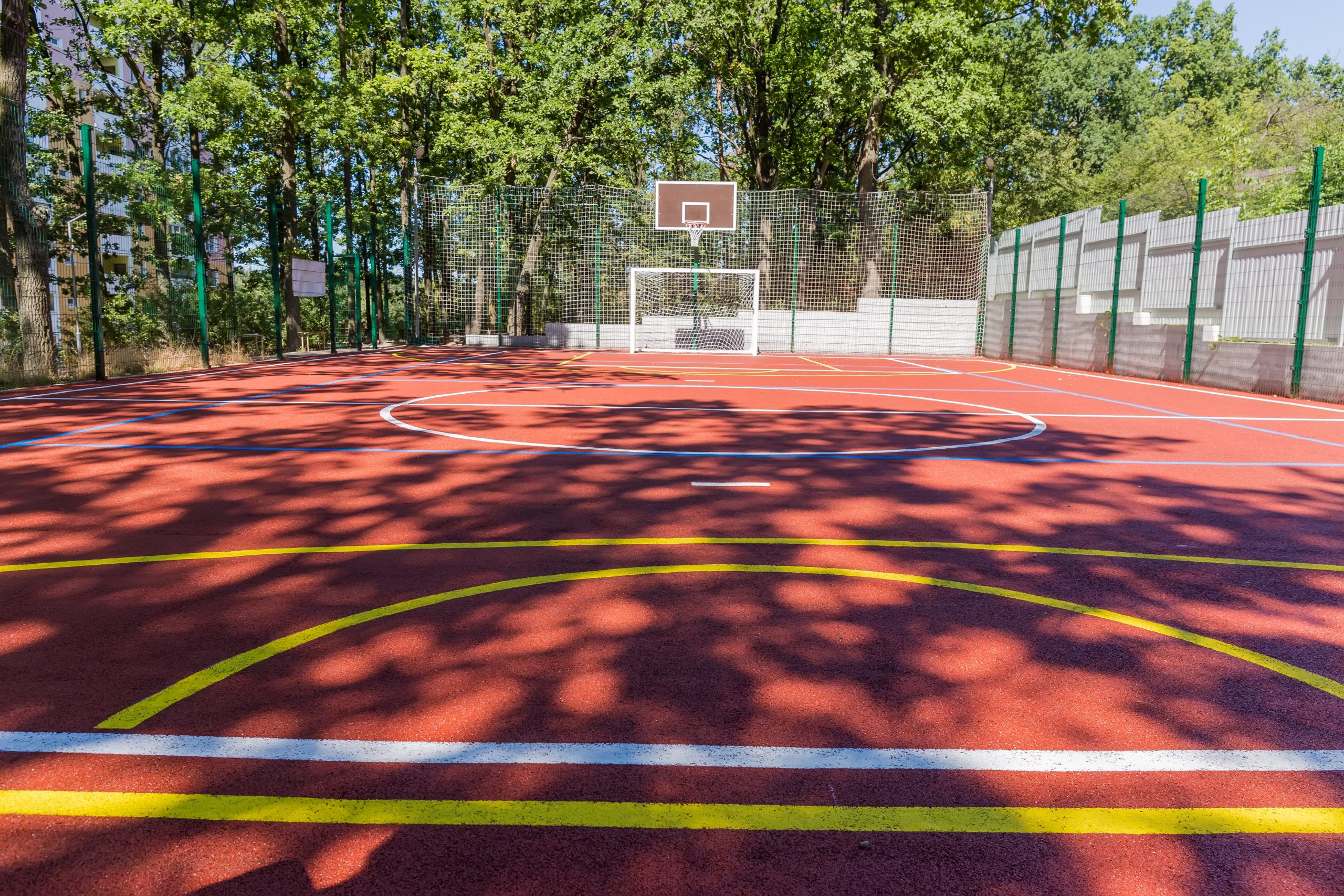 Sport