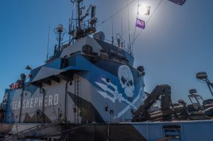 Sea Shepherd