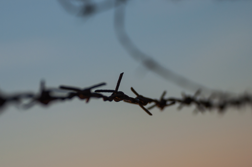 Alexis poulin fascisme en france