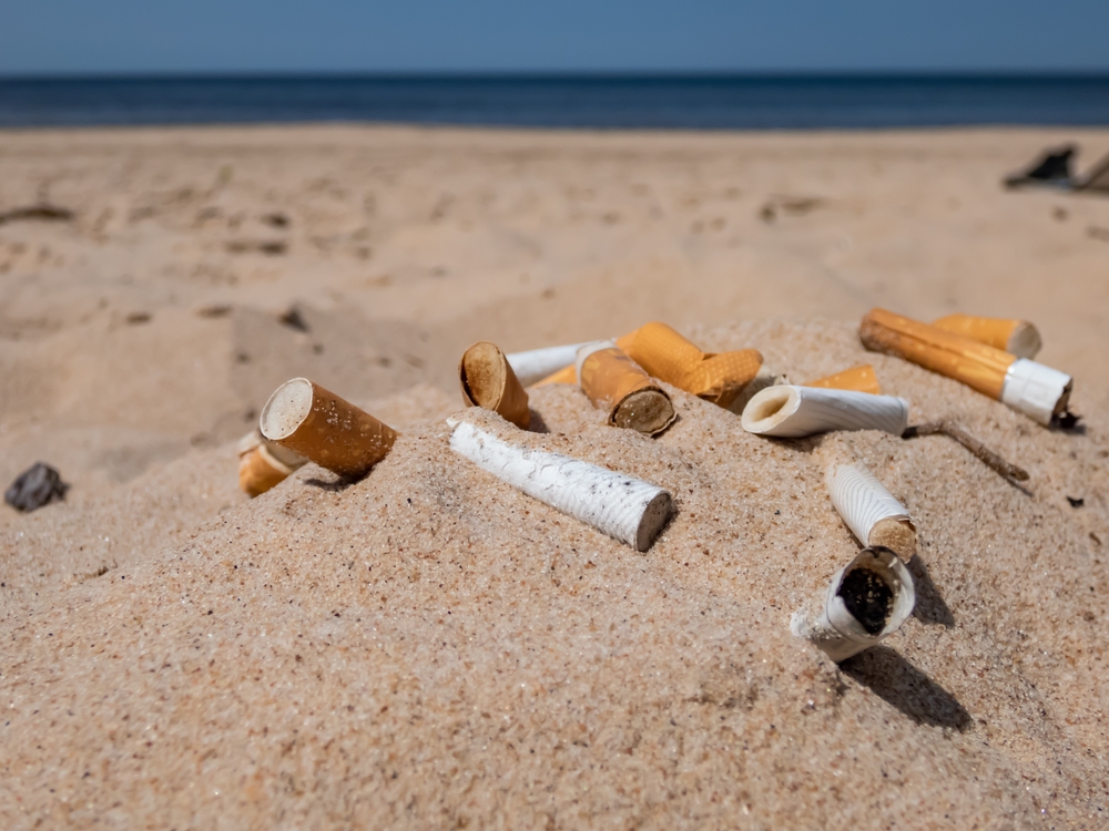 Cigarette plage