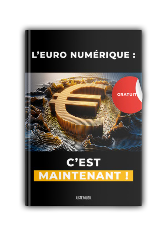Euro numérique