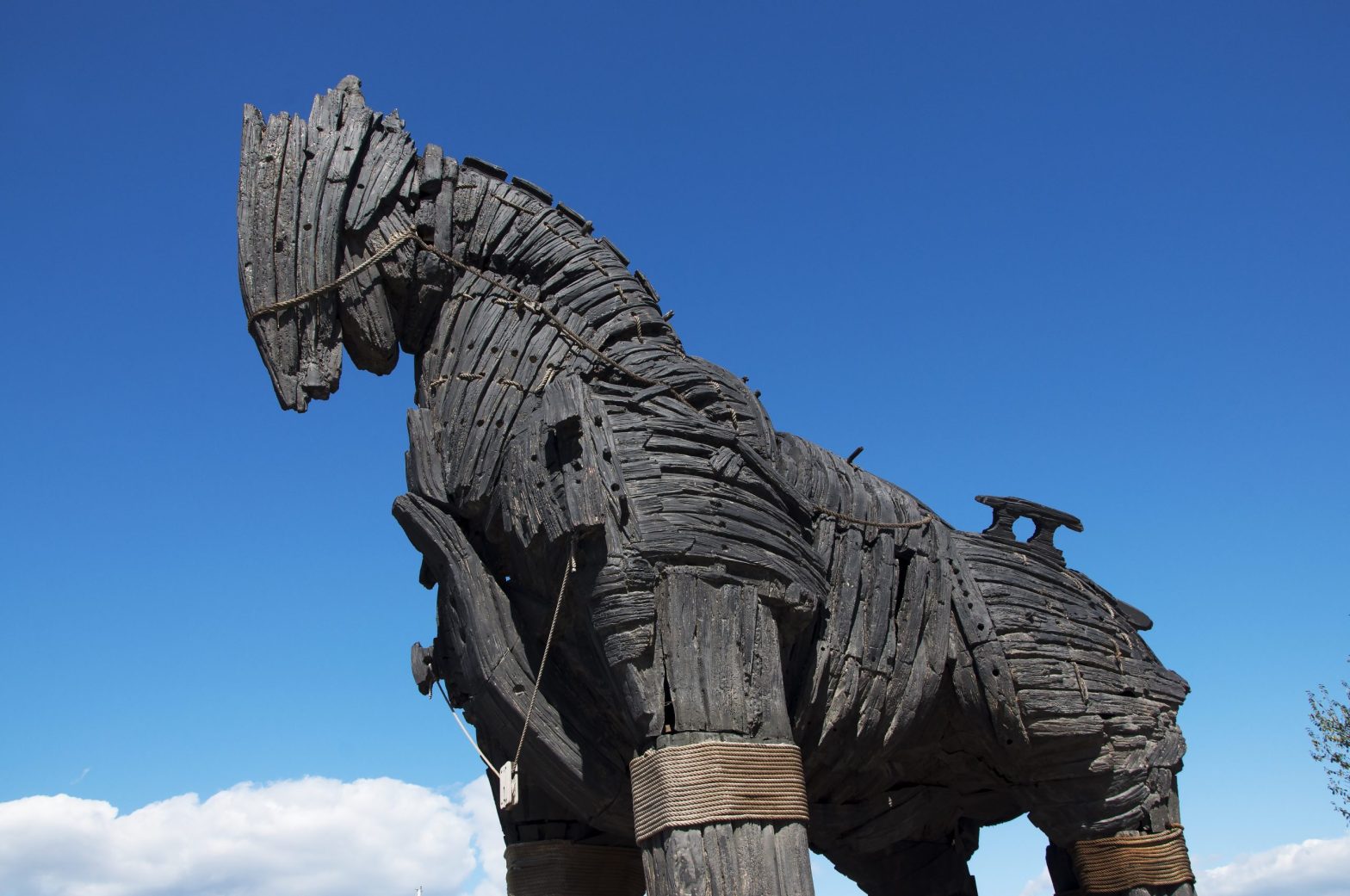 Stérin utilise Cerfia pour imposer ses idées