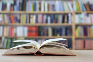 Livre nicolas sarkozy journal d'un prisonnier