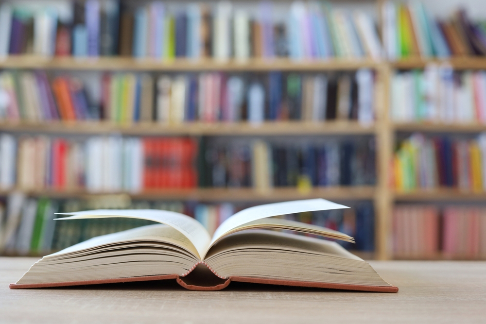 Livre nicolas sarkozy journal d'un prisonnier