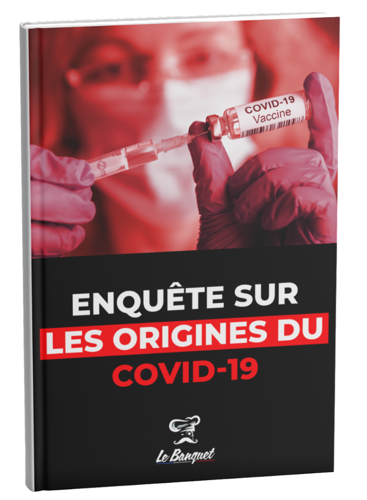 Réflexion sur les origines du covid